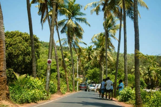 Cultural Immersion: Living Like a Local in Goa