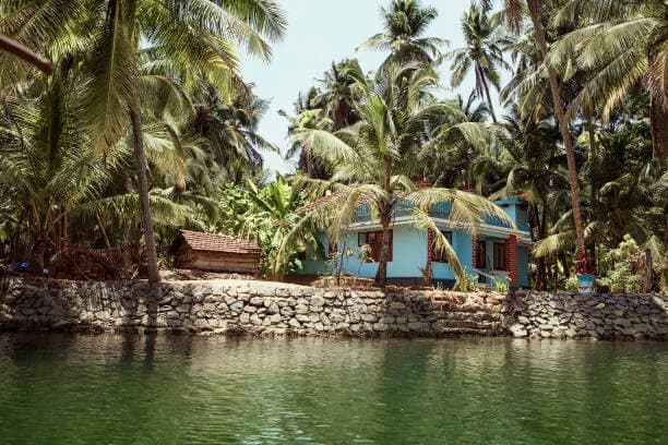 Cultural Immersion: Living Like a Local in Kerala