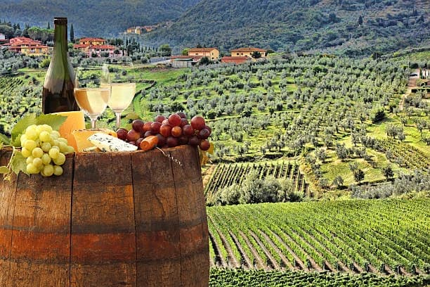 Italian Wine Trails: Exploring Vineyards from North to South