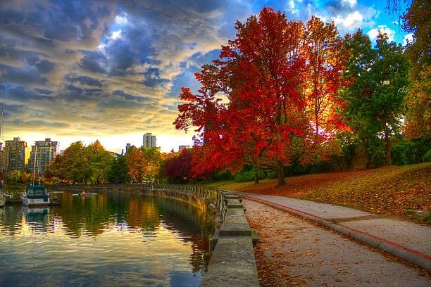 Stanley Park