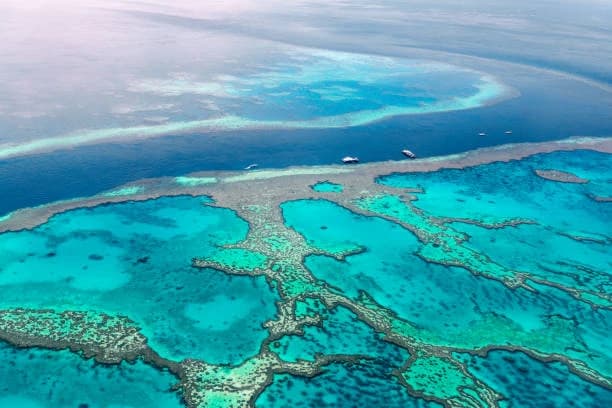 Discover Marine Wonders at the Great Barrier Reef