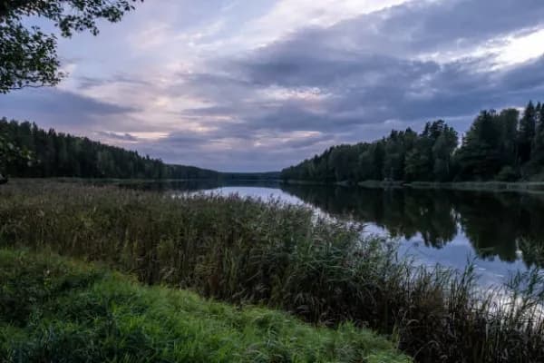 Björkfjärden