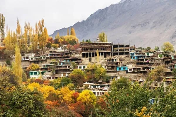 Blossom Village