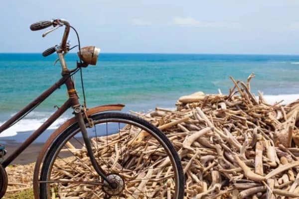 Driftwood Village