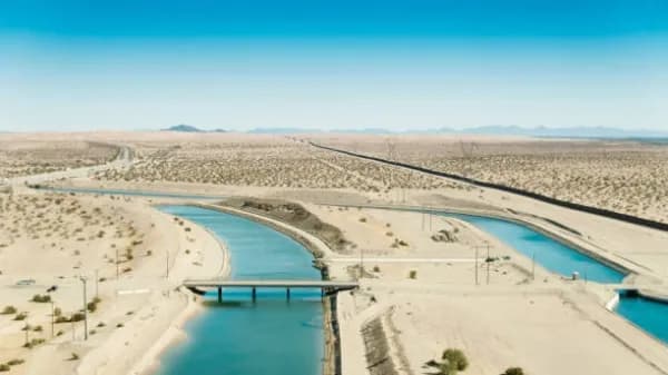 Algodones