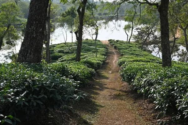 Sreemangal
