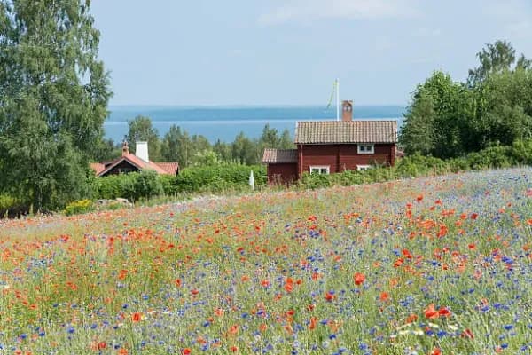 Dalarna