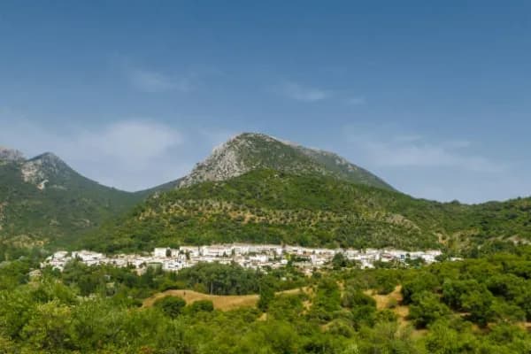 Benamahoma