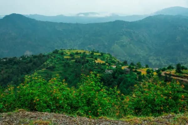 Bhowali