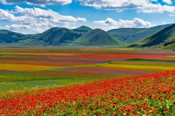 Castelluccio di Norcia