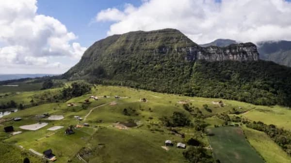 Guácima