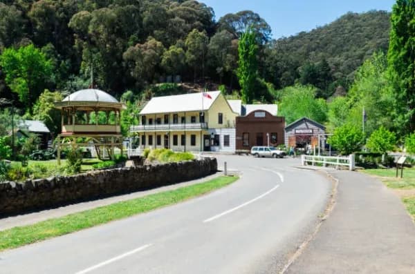 Birdwood