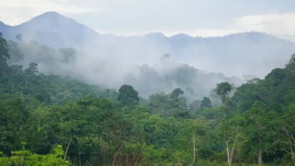 Aceh