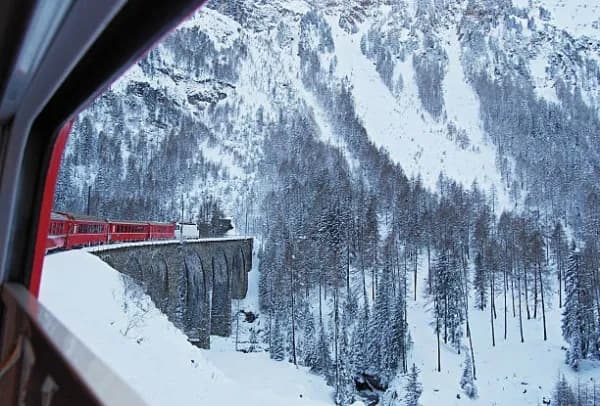 Albula