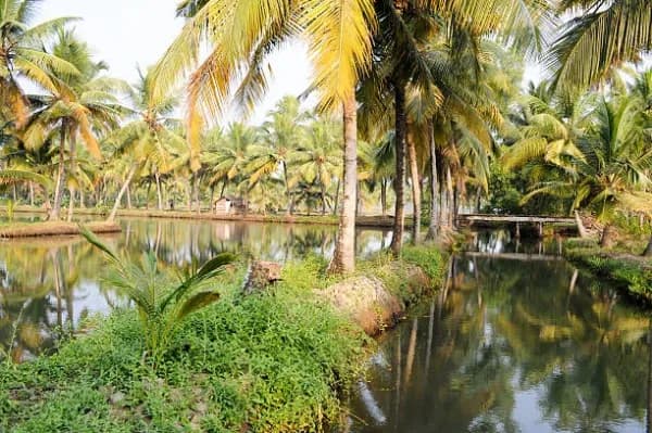 Edakkunnam
