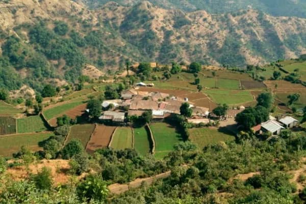 Gujjadi