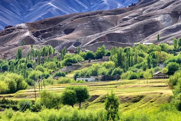 Sumoor