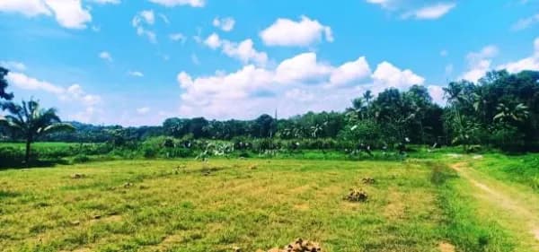 Manimala