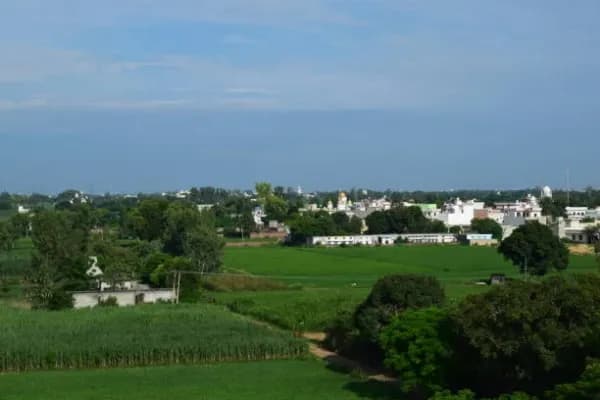 Dera Bassi