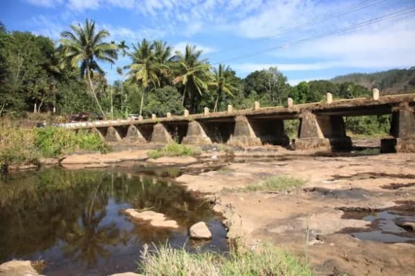 Vettilappara