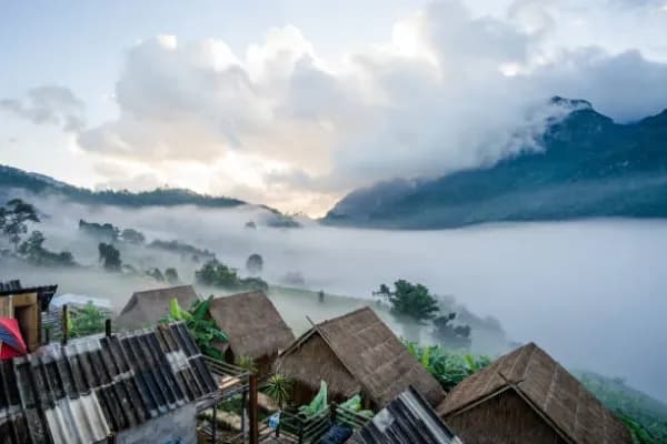 Doi Tao