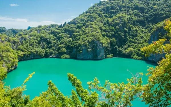 Ang Thong