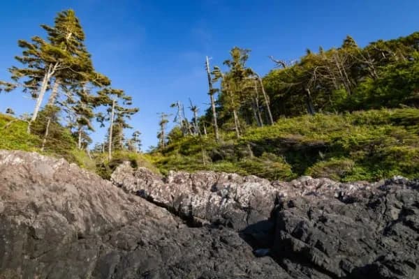 Alberni Clayoquot