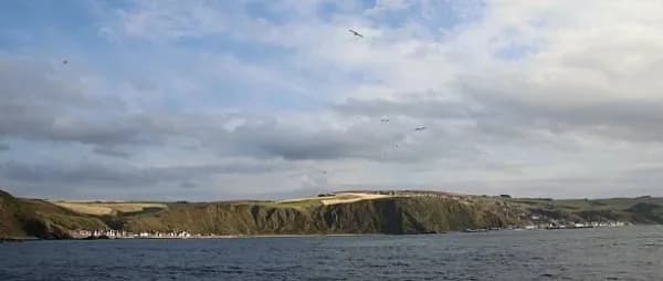 Gardenstown