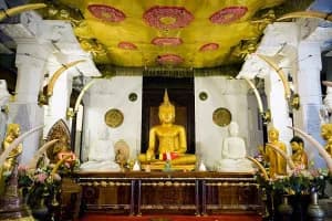 Highlights of Sri Lanka: 6‑Day Heritage & Beach Tour