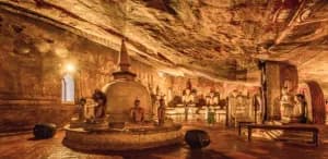 Sri Lanka 7‑Day Adventure Tour – Wildlife & Beaches