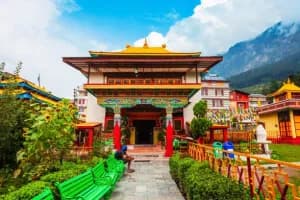Manali Honeymoon Bliss: 4N/5D Romantic Retreat