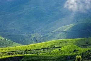 Blissful Munnar 3 Days Tour Package