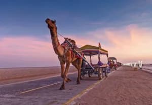Rann Utsav 3 Days Tour Package From Ahmedabad