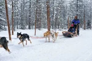 Arctic Norway Winter Tour: Northern Lights & Adventure
