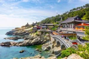 5 Days Busan Getaway South Korea Special Tour