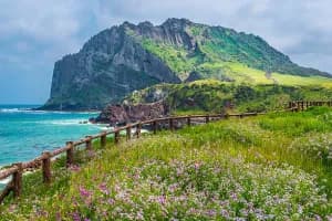 5 Days Romantic Jeju Island South Korea Special Tour