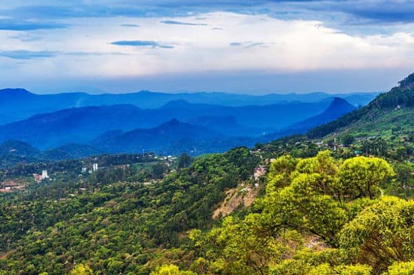 Kaladhungi