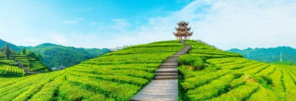 Assam