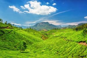 Experience Kerala: A Journey Through Nature's Own Paradise with HECT India for 6 nights