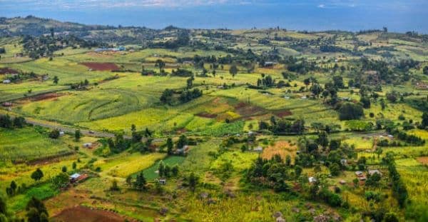 Eldoret