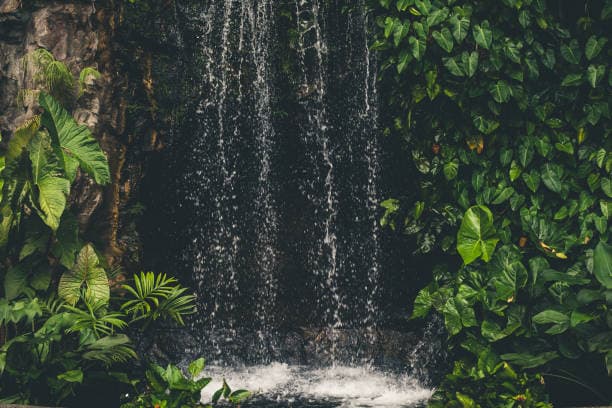 Wild Wild Wet Singapore
