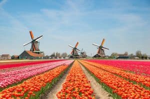 Western Wonders: A 11-Night Journey Through Europe's Treasured Lands with HECT India