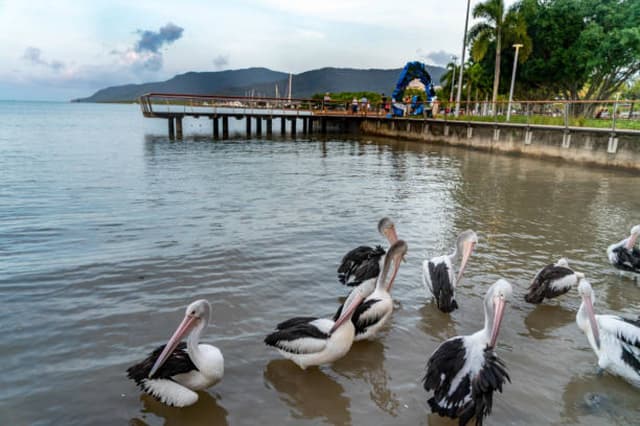 Ranganathittu Bird Sanctuary