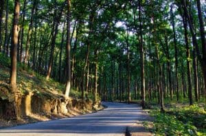 Divine Serenity: Same-Day Do Dham Yatra by Helicopter