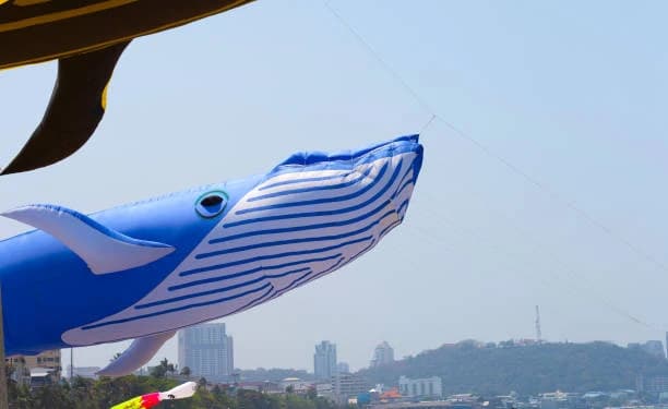 Dolphinarium Pattaya 1