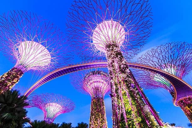 Gardens by the Bay thumb 1
