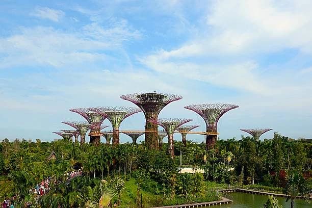 Gardens by the Bay 4