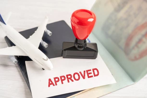 Thailand Pass Application - Process of Registration