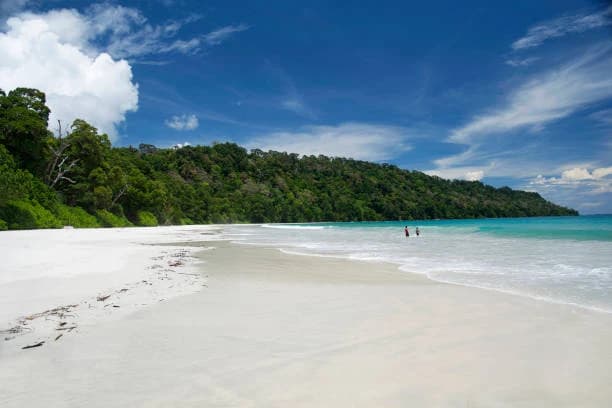 Elephant Beach thumb 1