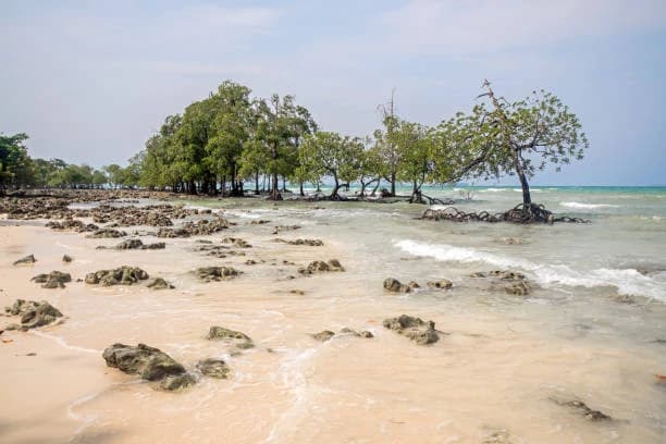 Elephant Beach 3